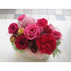 framboise�i�t�����{���[�Y�j