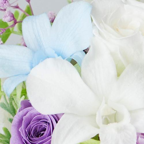 �����ݗp�@la mer�@�`���E���[���`5