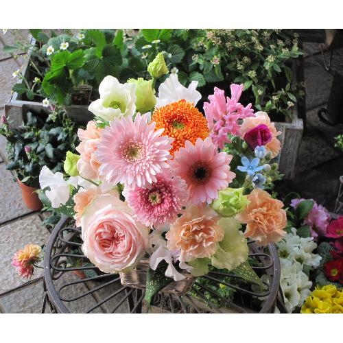 pieno di colore (�s�G�m �f�B�@�R���[���j