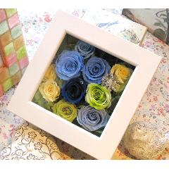 Quadrato�i�N�A�h���[�g�j BLUE NOTE