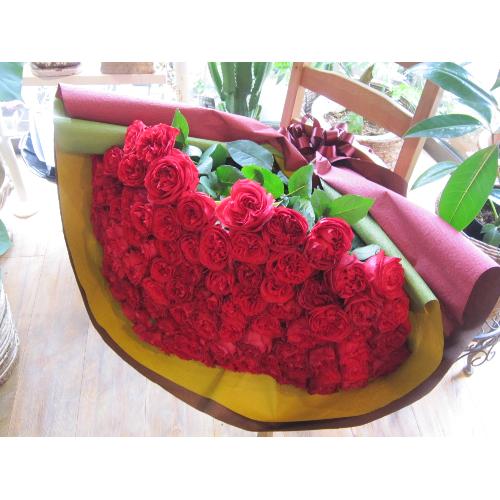 ROSERAIE�@�i���Y���j�@100�{�̐Ԃ��o��2