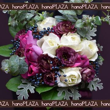 �X�^�b�t�摜