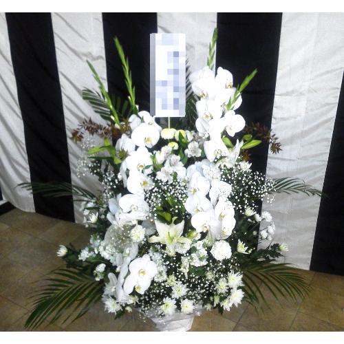 �������A�����W�����g