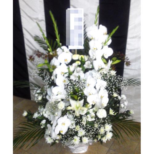 �������A�����W�����g2