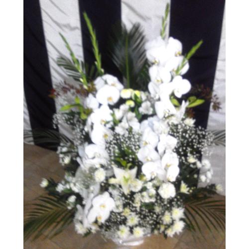 �������A�����W�����g3