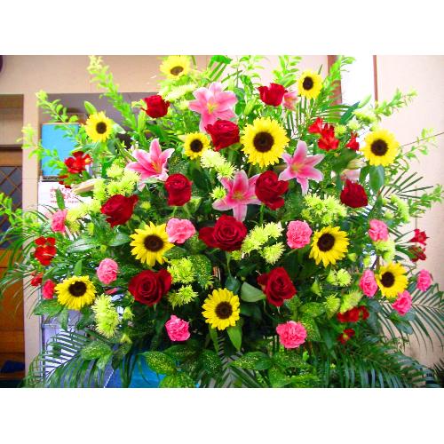 ���j���p�X�^���h��2