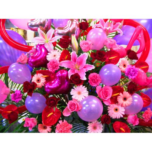 �V���R���K�[���̂��U���@�t���O�����X�����G�}3