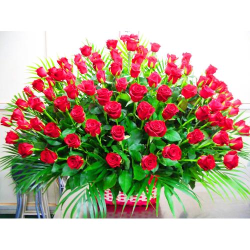 �v���~�A���E���[�Y�i�q�d�c�j
