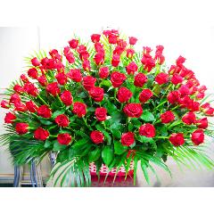 �v���~�A���E���[�Y�i�q�d�c�j