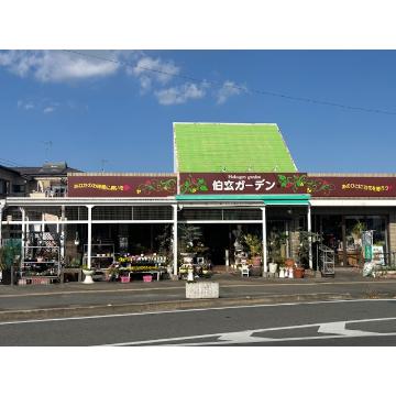 �X�܊O�ω摜