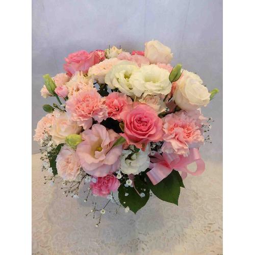 �D���ȃA�����W�����g