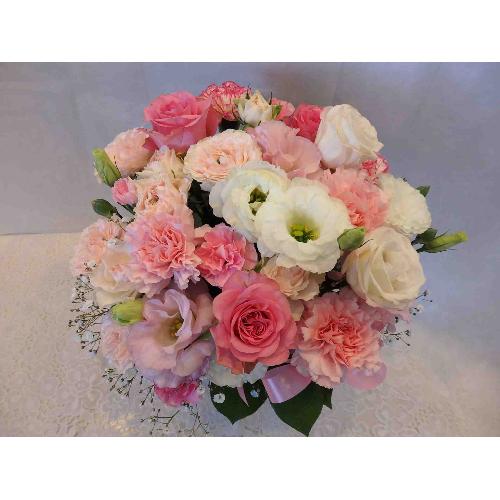 �D���ȃA�����W�����g2