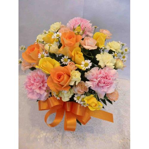 �`�I�����W�E�X�B�[�g�`3