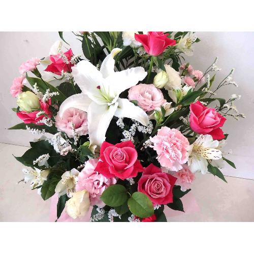 �`�A�j�o�[�T���[�`�J�T�u�����J�̃A�����W�����g2