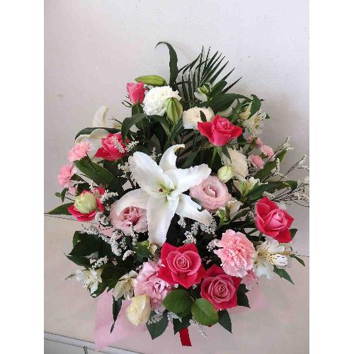 �`�A�j�o�[�T���[�`�J�T�u�����J�̃A�����W�����g3