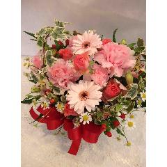 �v���e�B�E�s���N