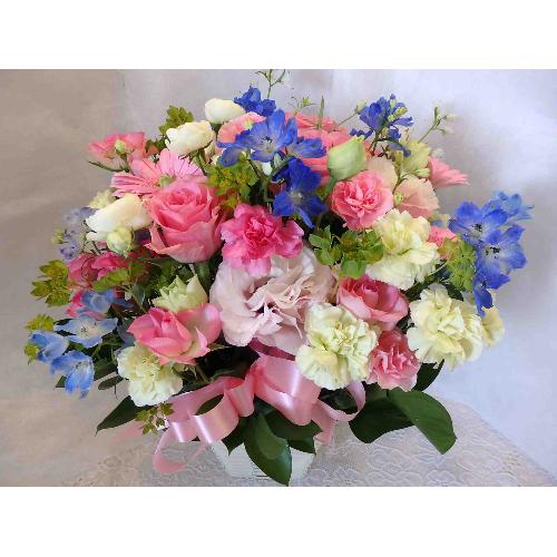 ����₩�M�t�g�`���敗�̃A�����W�����g�`