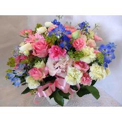 ����₩�M�t�g�`���敗�̃A�����W�����g�`