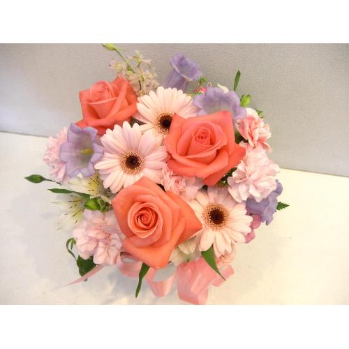 �s���N�����킢���I�K�[�x���̃A�����W�����g