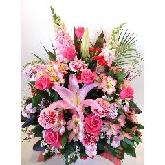 �`�����ƃo���̃S�[�W���X�A�����W�`