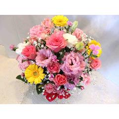 �\�l�b�g�`�s���N�̃A�����W�����g�`