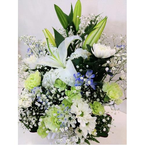 �S������������A�����W�����g3