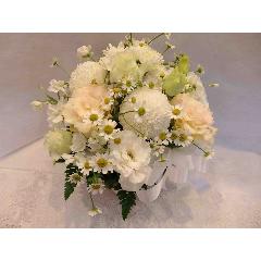 �s���|���}���̉����������A�����W�����g