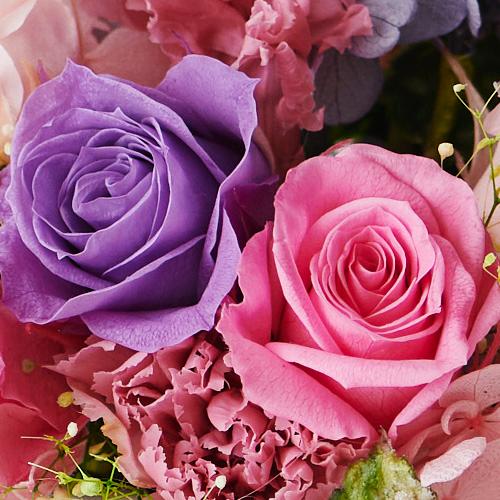 �m�[�u���o�C�I���b�g�@�`���Ȃ���z���ā`3