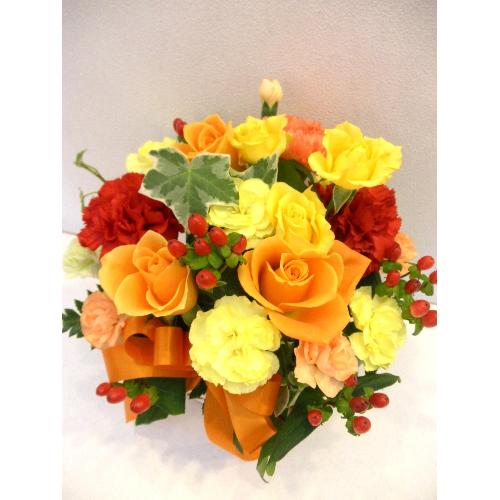 �`�p���I�`�I�����W�̃o���̃A�����W�����g2