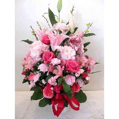 �����ƃV���r�W���[���̃S�[�W���X�A�����W�����g