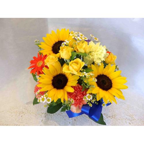 �y�I�X�X���z�@�Ђ܂��̃u���[���{���A�����W3