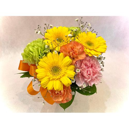 �ymama �� merci  petite�z�@�`�C�G���[�`2