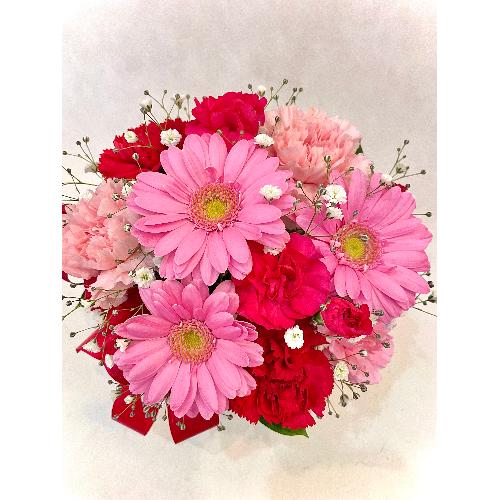 �v���U�[�u�h�t�����[ �X�^���f�B���O�u�[�P1