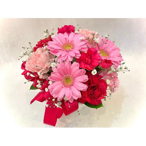 �v���U�[�u�h�t�����[ �X�^���f�B���O�u�[�P2