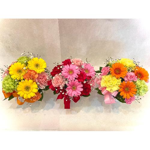�v���U�[�u�h�t�����[ �X�^���f�B���O�u�[�P3