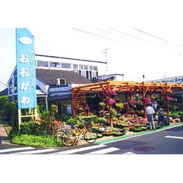 �X�܊O�ω摜