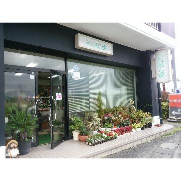 �X�܊O�ω摜