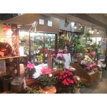 �X�܊O�ω摜