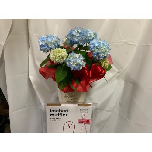 �W���u���[�A�W�T�C�o�X�P�b�g�t��&�����^�I���}�t���[2