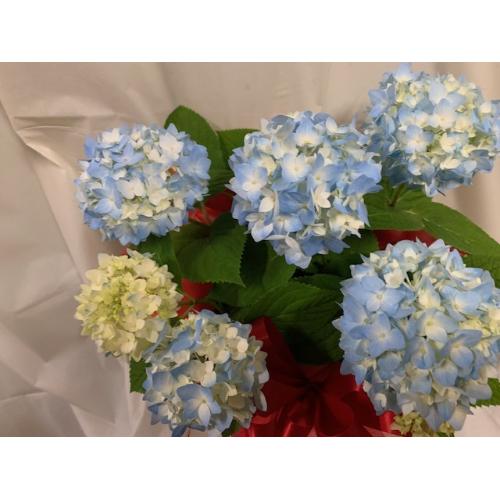 �W���u���[�A�W�T�C�o�X�P�b�g�t��&�����^�I���}�t���[5