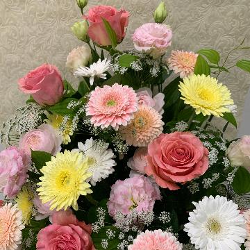 �X�^�b�t�摜