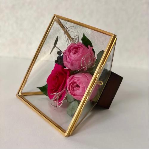 �v���U�[�u�h�t�����[�s���N �O���X�t���[��5