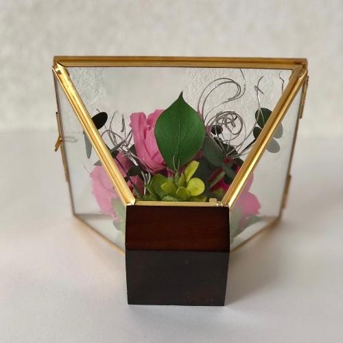 �v���U�[�u�h�t�����[�s���N �O���X�t���[��6