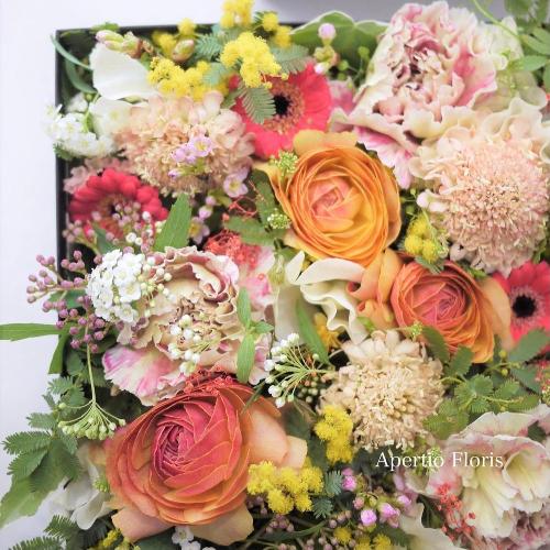 �C�G���[�I�����W�n�̃{�b�N�X�t�����[M�T�C�Y2