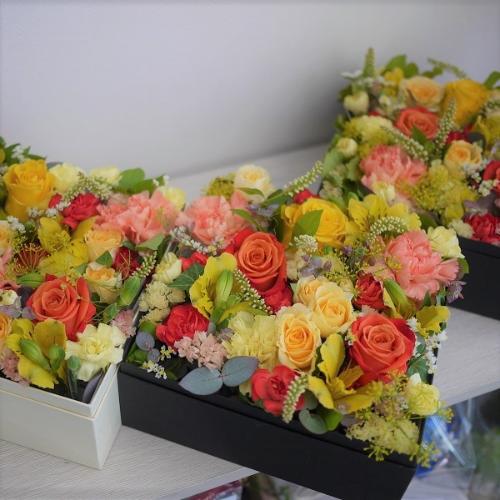 �C�G���[�I�����W�n�̃{�b�N�X�t�����[M�T�C�Y3