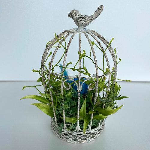 �v���U�[�u�h�t�����[ �A�[�`�^��������6