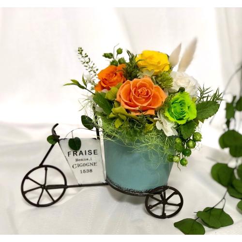�v���U�[�u�h�t�����[�@�t�����[�J�[�g�I�����W