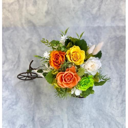 �v���U�[�u�h�t�����[�@�t�����[�J�[�g�I�����W5