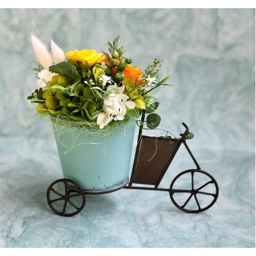 �v���U�[�u�h�t�����[�@�t�����[�J�[�g�I�����W6