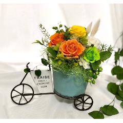�v���U�[�u�h�t�����[�@�t�����[�J�[�g�I�����W